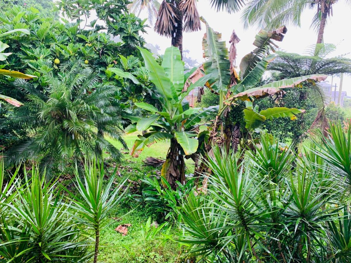 Wild Ginger Hotel Hilo Exterior photo