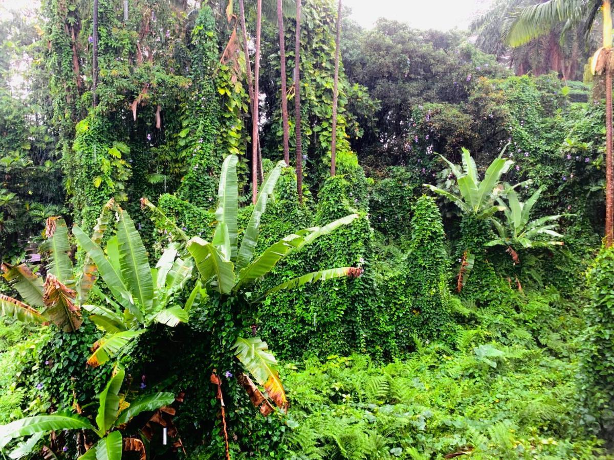 Wild Ginger Hotel Hilo Exterior photo