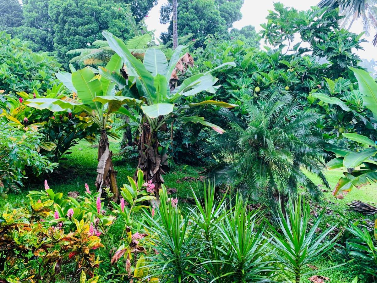 Wild Ginger Hotel Hilo Exterior photo